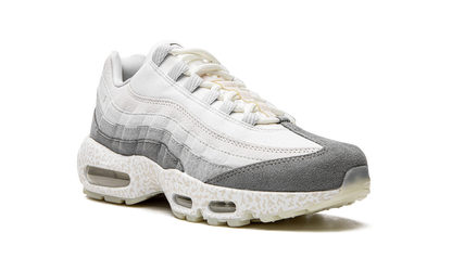 Air Max 95 QS "Light Bone-Glow in the Dark" DV2593 100