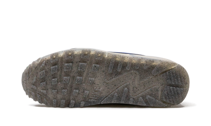 Air Max Terrascape 90 "Platinum / Blue" DV7413 002