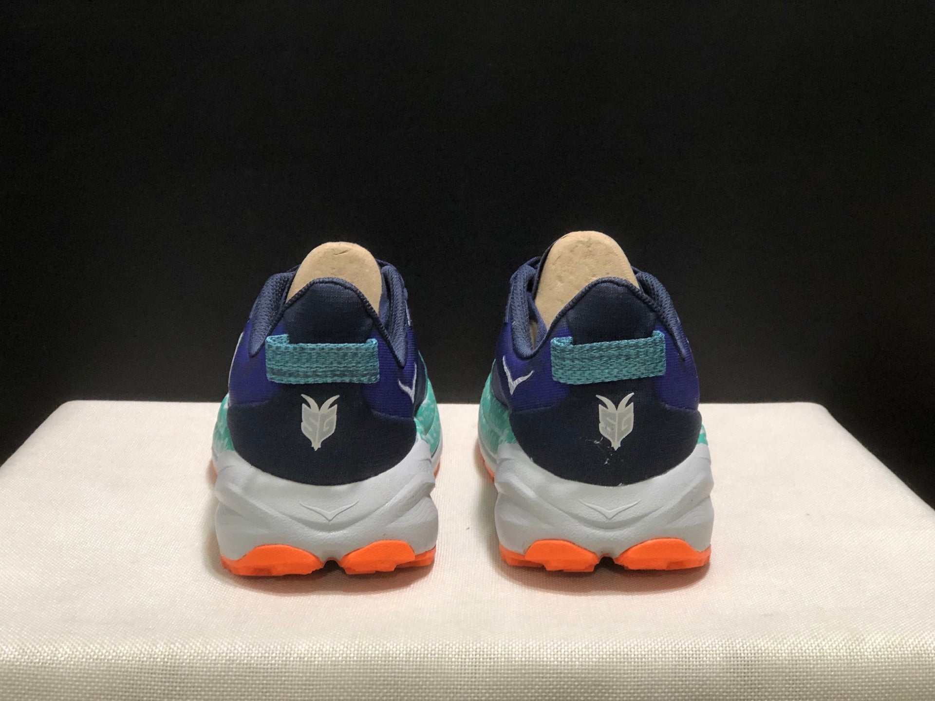 HOKA ONE ONE SPEED GOAT 6